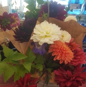 Meet your Posher, Tiffany